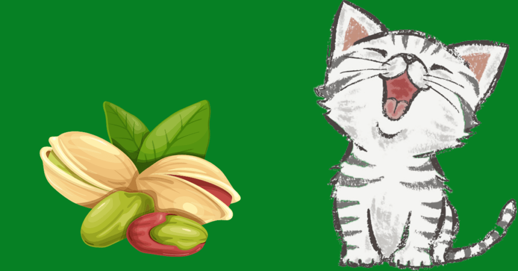 Can cats eat pistachios?