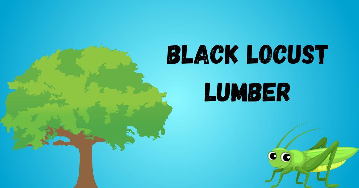 Black Locust Lumber