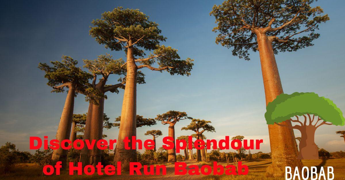 Discover the Splendour of Hotel Run Baobab: You’re Ultimate Getaway Destination