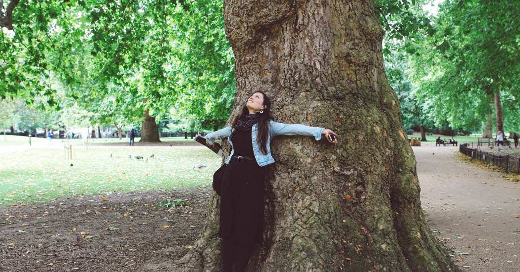 Under the Oak Tree: