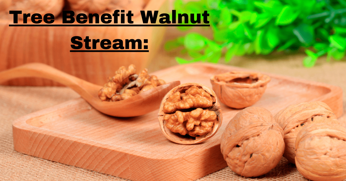 Tree Benefit Walnut Stream: