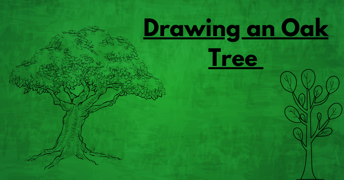 Drawing an Oak Tree: