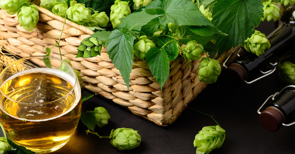 Black Locust Hops Farm Brewery: