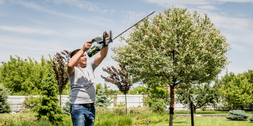 Thousand Oaks Tree Trimming: 