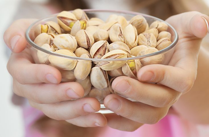 Should You Include Pistachios in Your Cat’s Diet?